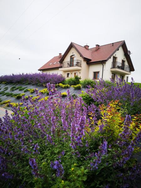 Apartamenty, Zielone Wzgórze Wiktora w Mikołajkach, Book  Mikolajki 