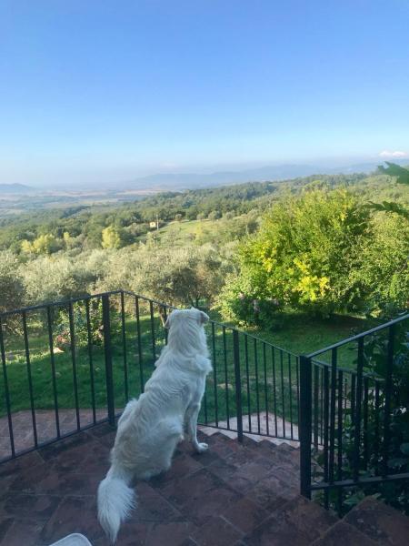 Agriturismo Campo al Crognolo, Book  Sassofortino Toscana