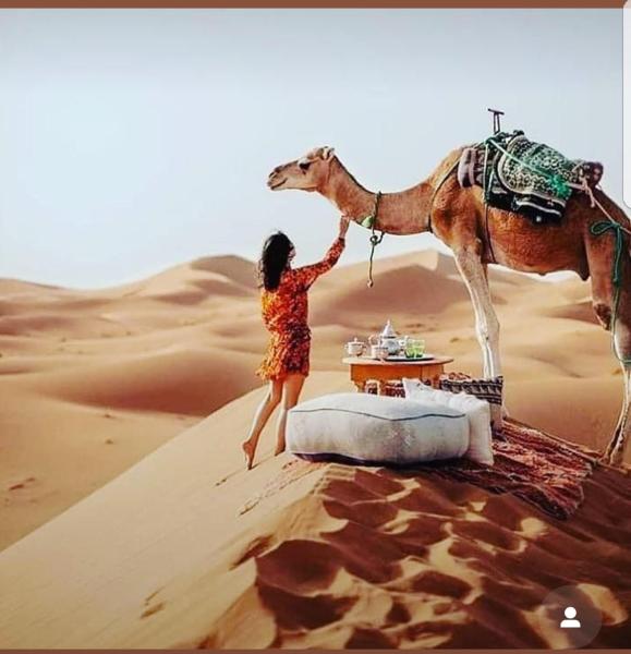 MorokoTour Camp, Book  Merzouga 