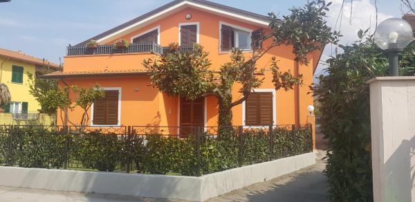 New Life, Book  Carrara Toscana