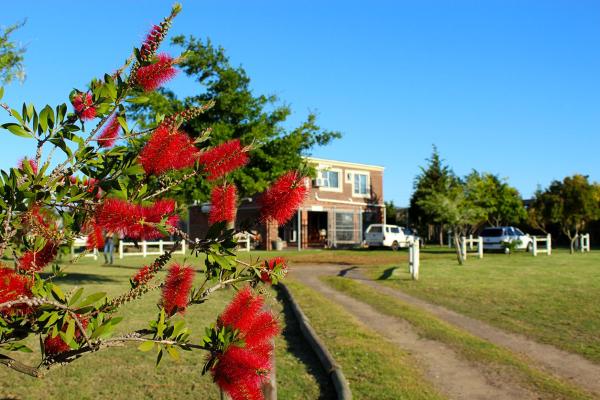 African Adventures Accommodation, Book  Joostenberg Vlakte Western Cape