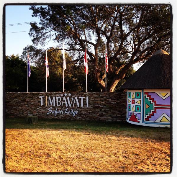 Timbavati Safari Lodge, Book Lodge Hoteller i Mhala med pool, Swimmingpool