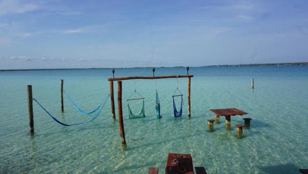 Las Fridas, Book  Bacalar 