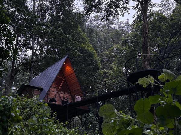 Wildvibes India, Book  Meppādi Wayanad