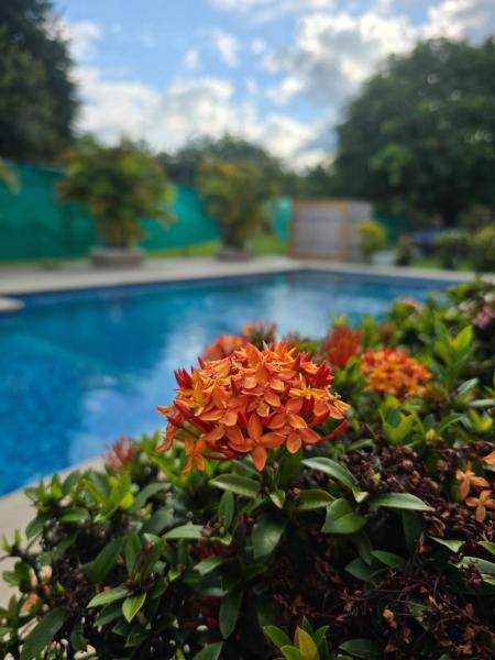 Cabañas la Familia, Book  Nueva Gorgona Panama City