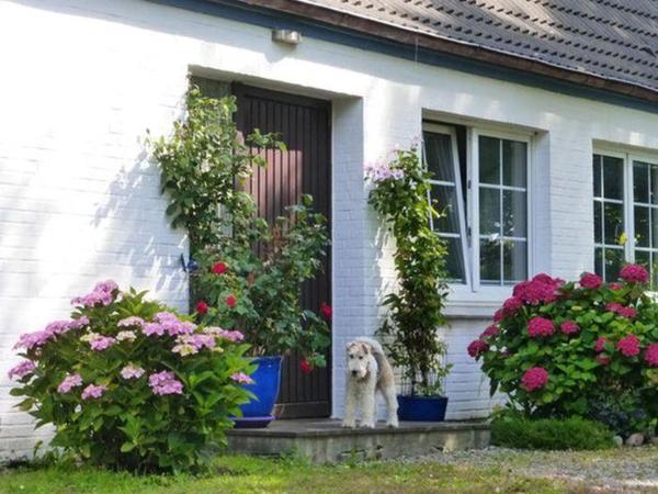 Haus Heversand, Book  Osterhever Schleswig-Holsten
