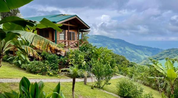 El Verde Pacifico, Book  San Luis San Jose