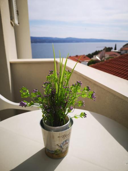 Anic Apartments Stanići, Book Lejlighed Stanići Split Region