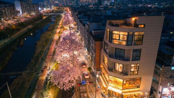 홍대#DMC역#커플,가족,단체여행#프라이빗 감성숙소#Villa De Ellie, Book  Seoul Sydkorea
