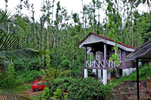 Jungle Greens Homestay - 150Y Old Coffee Estate, Home Food, Jungle Safari, Book  Chikmagalūr Bangalore