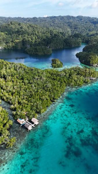 Sunrice Raja Ampat, Book  Besir 