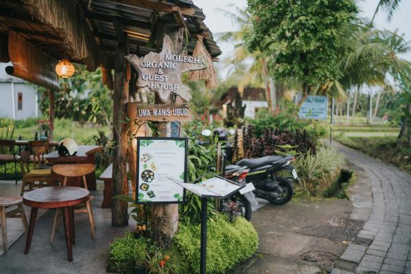 Sawah Manis Guest House, Book  Hoteller i Bali med pool, Swimmingpool