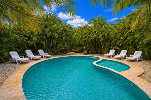 Jungle Oasis Tamarindo, Book  Hoteller i Guanacaste med pool, Swimmingpool