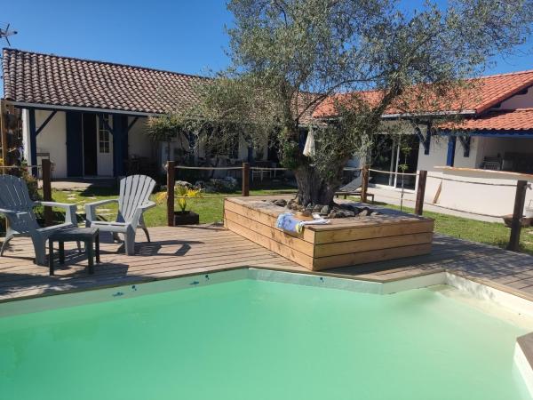 Les Cigales Du Bassin - Chambres, Book  Hoteller i Aquitaine med pool, Swimmingpool