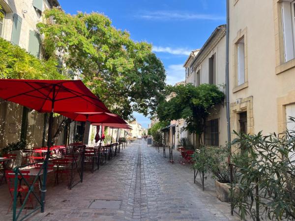La Salicorne, Book  Aigues-Mortes Camargue