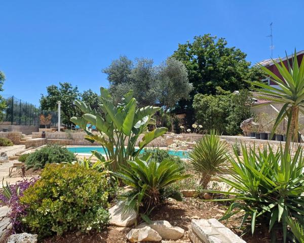 nonnacampagna, Book  Bari Bari Province