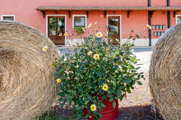 Agriturismo La Meridiana, Book  Hoteller i Lazio med pool, Swimmingpool