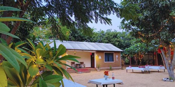 The Narayan Resort